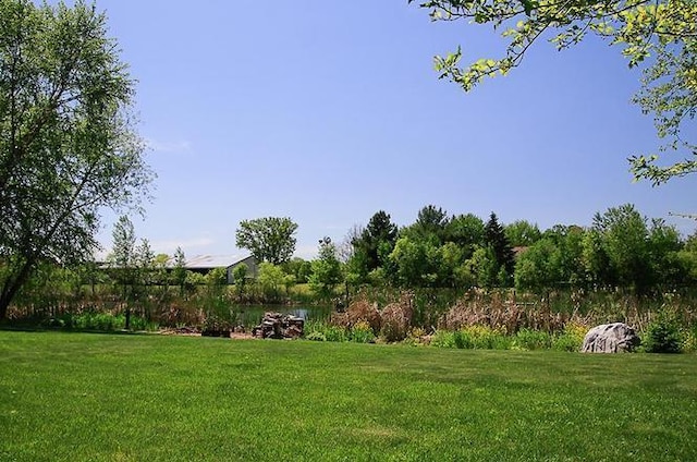 2607 226th Ln NW, Oak Grove, MN 55005 - view of green lawn