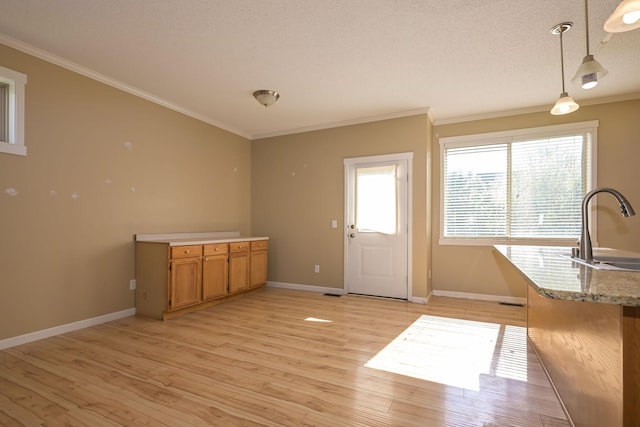 unfurnished dining area featuring a sink, ornamental molding, light wood-style floors, baseboards, and a textured ceiling