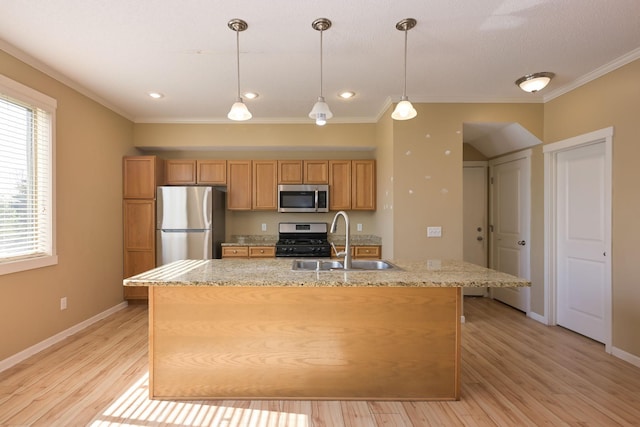 kitchen with appliances with stainless steel finishes, a sink, crown molding, light wood-type flooring, and a kitchen island with sink