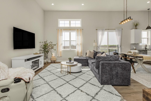 18122 Garland Path, Lakeville, MN 55044 - living area with wood finished floors and recessed lighting