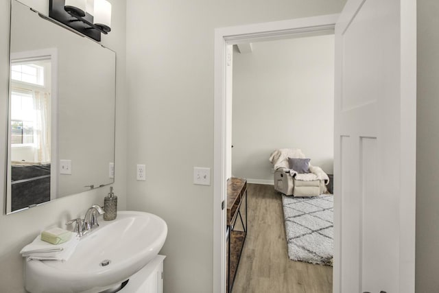 18122 Garland Path, Lakeville, MN 55044 - bathroom featuring a sink and wood finished floors