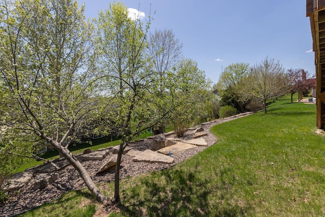 view of grassy yard