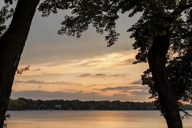 2520 Le Homme Dieu Hts NE Unit 2, Alexandria Twp, MN 56308 - water view featuring a forest