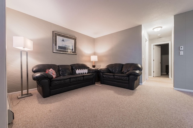 2520 Le Homme Dieu Hts NE Unit 2, Alexandria Twp, MN 56308 - living room featuring carpet flooring and baseboards
