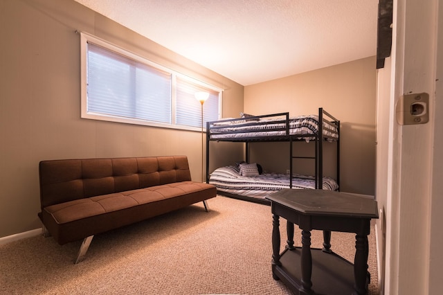 2520 Le Homme Dieu Hts NE Unit 2, Alexandria Twp, MN 56308 - view of carpeted bedroom