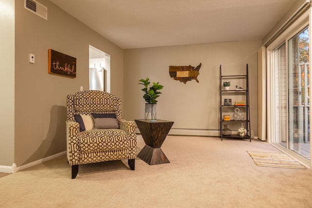2520 Le Homme Dieu Hts NE Unit 2, Alexandria Twp, MN 56308 - living area featuring light carpet and baseboards