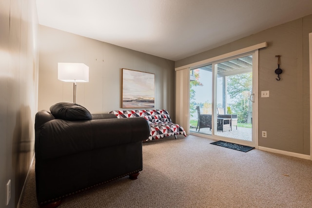 2520 Le Homme Dieu Hts NE Unit 2, Alexandria Twp, MN 56308 - carpeted bedroom with access to exterior