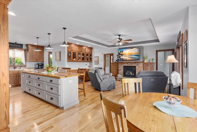 1704 156th St, Erin Prairie Twp, WI 54017 - dining space featuring ceiling fan, a tray ceiling, light wood finished floors, and a stone fireplace