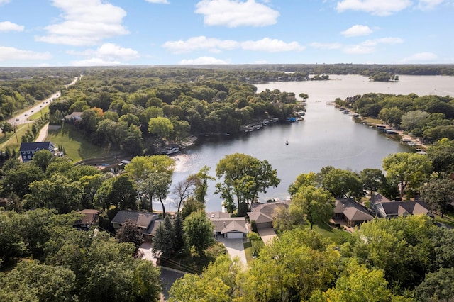 drone / aerial view of a large body of water and a forest