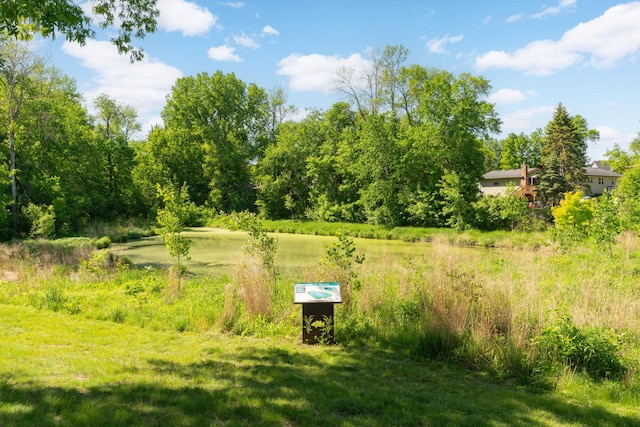 view of local wilderness