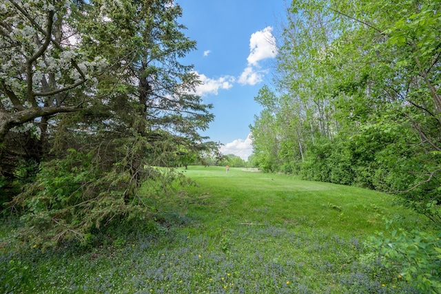 view of green lawn