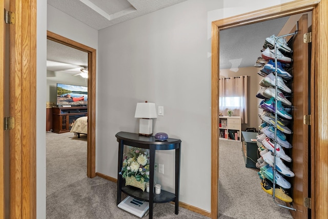 13367 Martin St NW, Andover, MN 55304 - hall with carpet floors, a textured ceiling, and baseboards