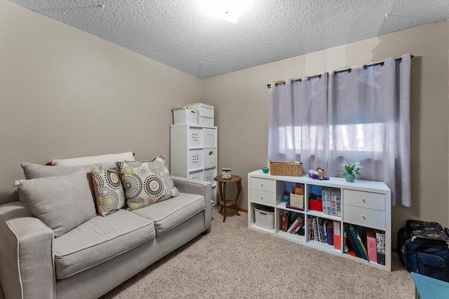 13367 Martin St NW, Andover, MN 55304 - living room featuring carpet and a textured ceiling