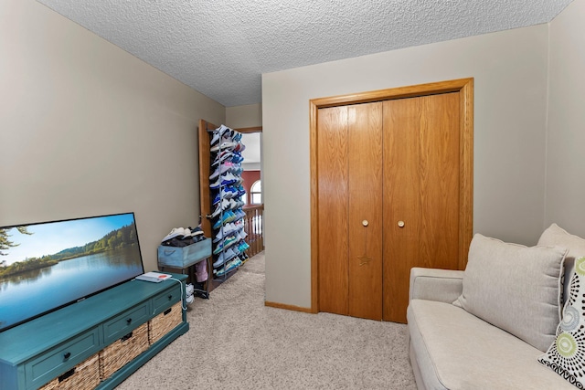 13367 Martin St NW, Andover, MN 55304 - living area featuring carpet and a textured ceiling