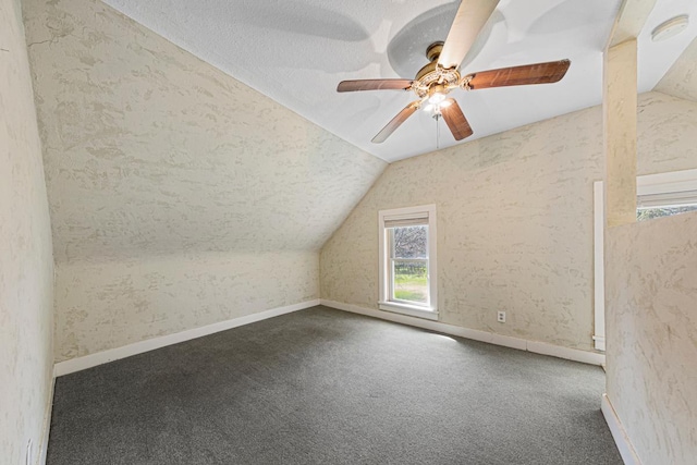 3020 320th St E, Sciota Twp, MN 55057 - additional living space featuring lofted ceiling, carpet floors, ceiling fan, a textured ceiling, and baseboards