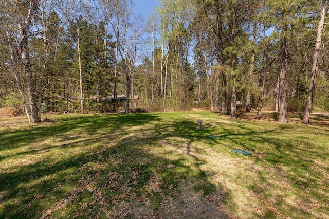view of green lawn