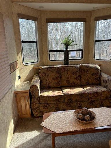 sitting room featuring plenty of natural light and carpet floors