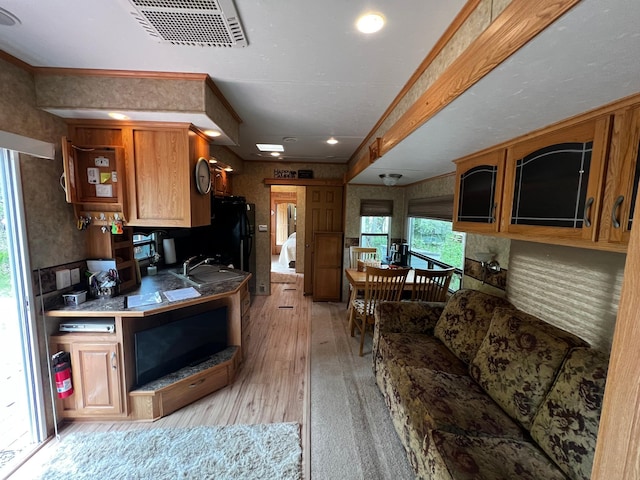 F6LOT139 Pathfinder Vlg, Clover Twp, MN 55037 - kitchen with light wood-style flooring, a sink, and freestanding refrigerator
