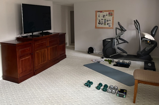 3918 Willmatt Hl, Minnetonka, MN 55305 - workout area featuring light colored carpet and baseboards