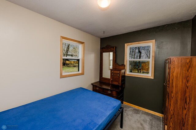 20850 Leona Beach Rd, Erie Twp, MN 56578 - bedroom featuring carpet floors and baseboards