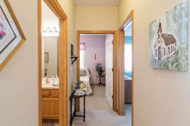 corridor with carpet floors