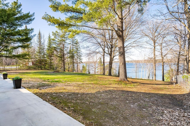 20380 Crystal Springs Loop, Harris Twp, MN 55744 - view of yard with a water view