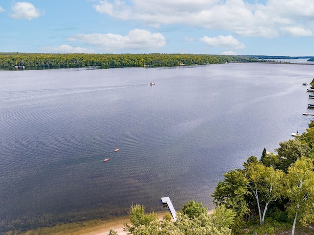 20380 Crystal Springs Loop, Harris Twp, MN 55744 - water view