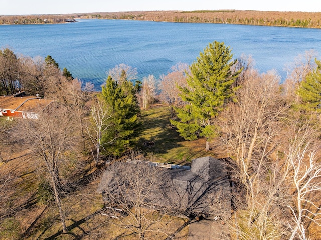 20380 Crystal Springs Loop, Harris Twp, MN 55744 - water view