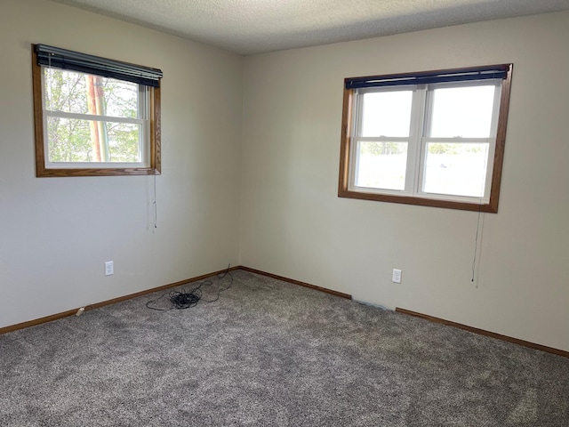 22055 State Highway 23, Munson Twp, MN 56368 - photo 16