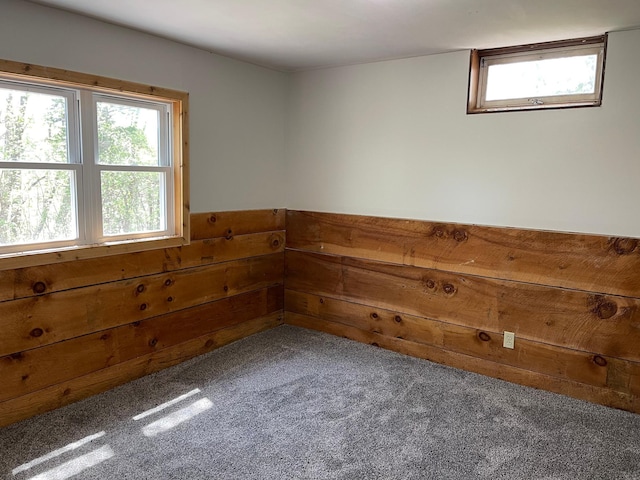 22055 State Highway 23, Munson Twp, MN 56368 - photo 21