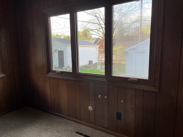 spare room featuring healthy amount of natural light, carpet flooring, and wooden walls