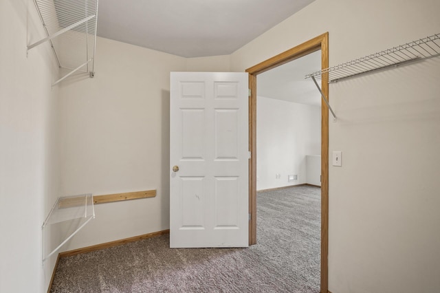 spacious closet with carpet flooring