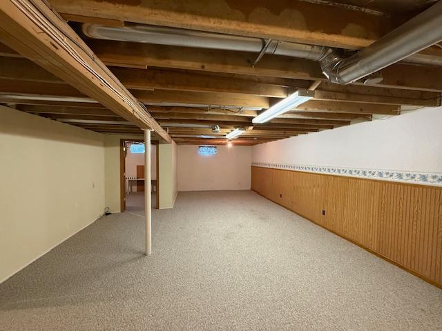 421 Main St E, Eitzen, MN 55931 - basement featuring a wainscoted wall, light colored carpet, and wood walls
