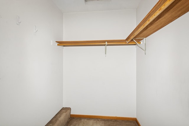 13210 Meadowood Trl NW Unit 63Nw, Coon Rapids, MN 55448 - spacious closet with carpet flooring