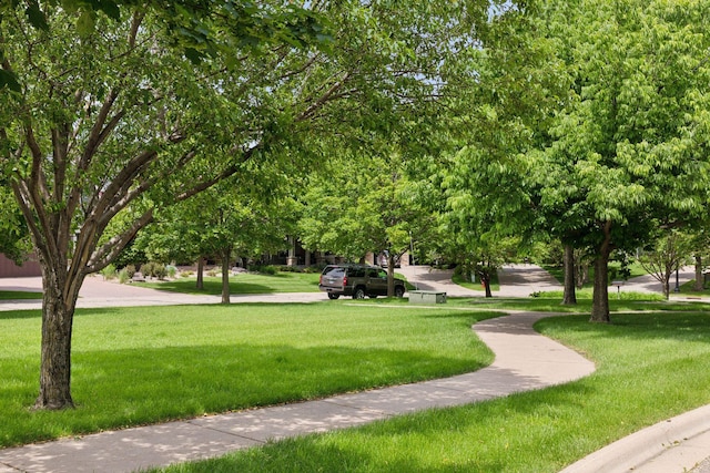 11200 Walnut Ln, Woodbury, MN 55129 - view of property's community featuring a yard