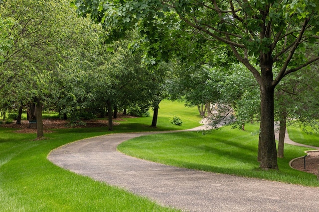 11200 Walnut Ln, Woodbury, MN 55129 - view of property's community featuring a yard
