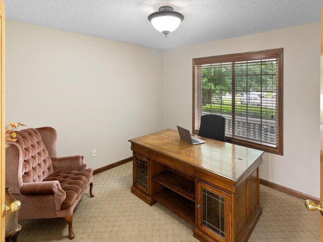 6700 210th Lane Cir N, Forest Lake, MN 55025 - office with light colored carpet and a textured ceiling