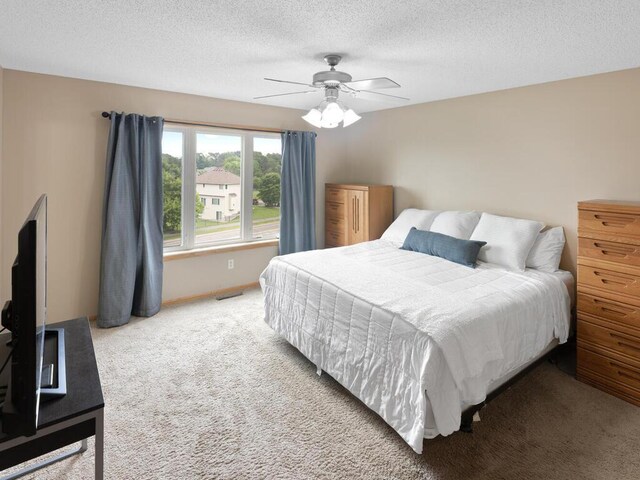 6700 210th Lane Cir N, Forest Lake, MN 55025 - bedroom featuring carpet flooring, a textured ceiling, and ceiling fan