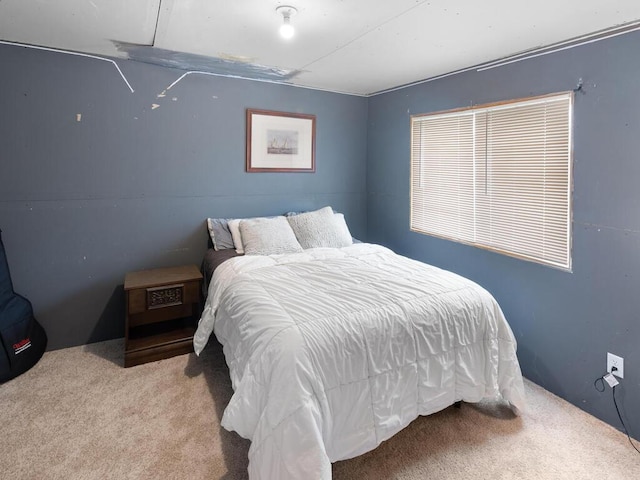 6700 210th Lane Cir N, Forest Lake, MN 55025 - view of carpeted bedroom