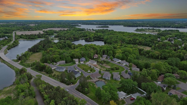 31079 Magnolia Ridge Way, Lindstrom, MN 55045 - aerial view at dusk of a water view and a view of trees