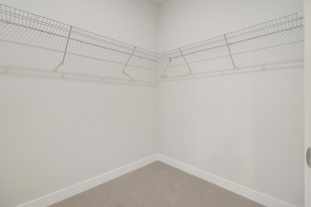 31079 Magnolia Ridge Way, Lindstrom, MN 55045 - walk in closet featuring light carpet