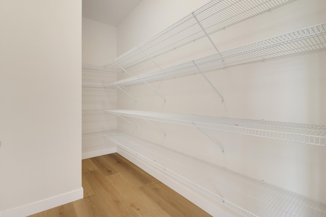31079 Magnolia Ridge Way, Lindstrom, MN 55045 - view of storage area