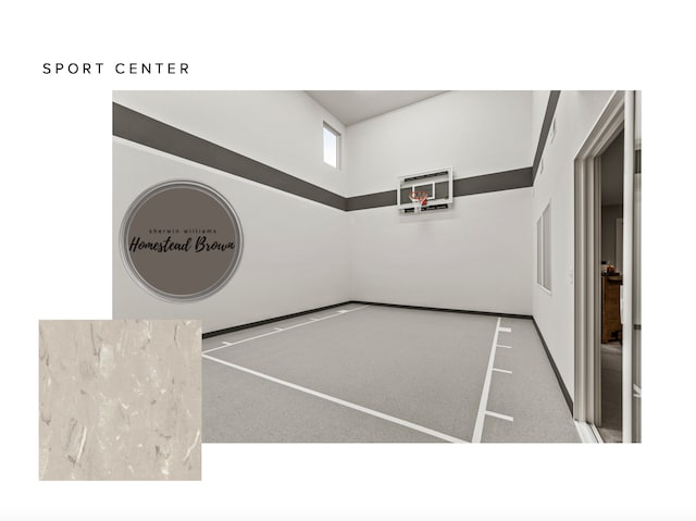 10320 Peony Ln N, Maple Grove, MN 55311 - view of basketball court