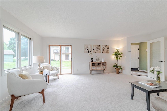13721 Inglewood Ave, Savage, MN 55378 - living room featuring carpet and a textured ceiling
