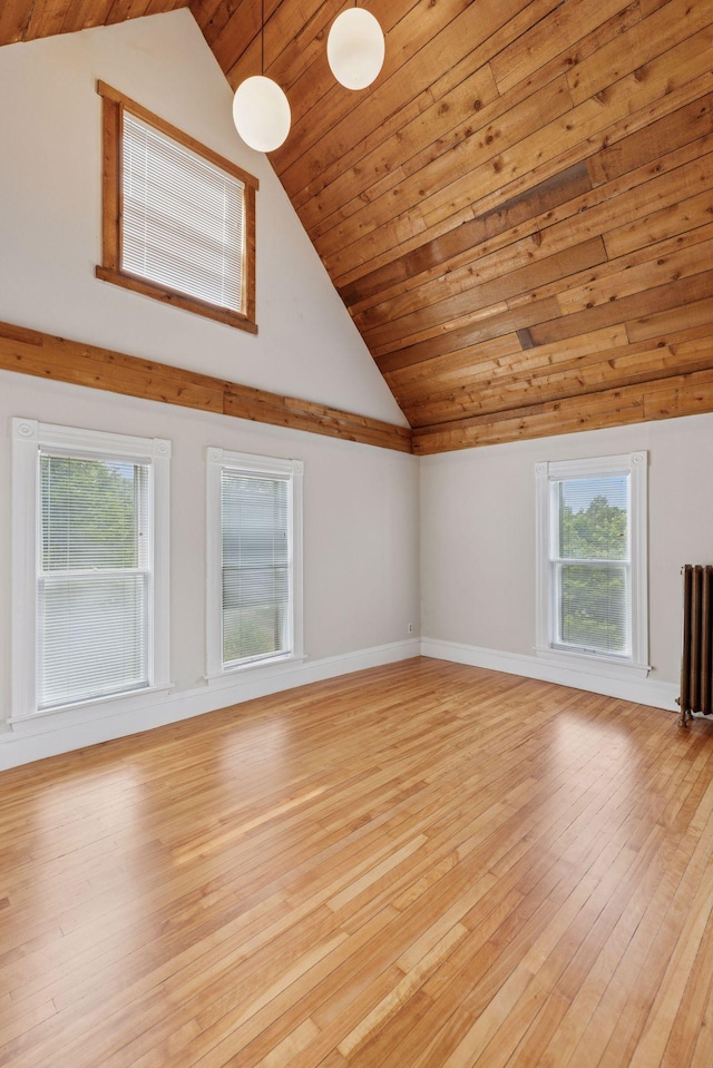 518 32nd St, Minneapolis, MN 55408 - bonus room with lofted ceiling, wood ceiling, healthy amount of natural light, light wood-type flooring, and radiator