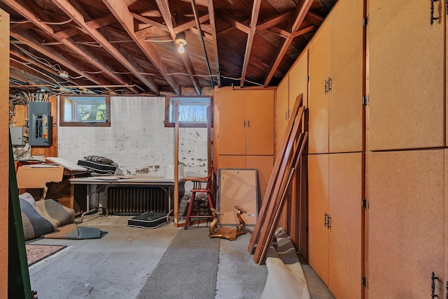 basement with electric panel and radiator