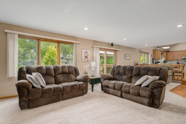 11877 Cottonwood St NW, Coon Rapids, MN 55448 - photo 19