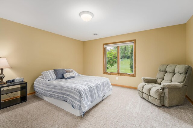 11877 Cottonwood St NW, Coon Rapids, MN 55448 - photo 41