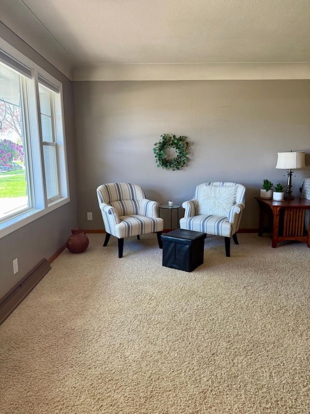 carpeted living room with baseboards