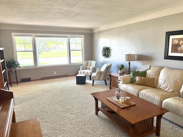 carpeted living area featuring a textured ceiling, baseboard heating, and baseboards